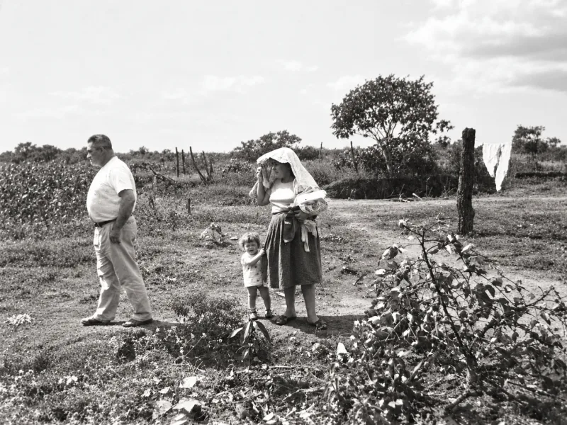 Duas pessoas atravessando um terreno aberto de cerrado, com arbustos esparsos.