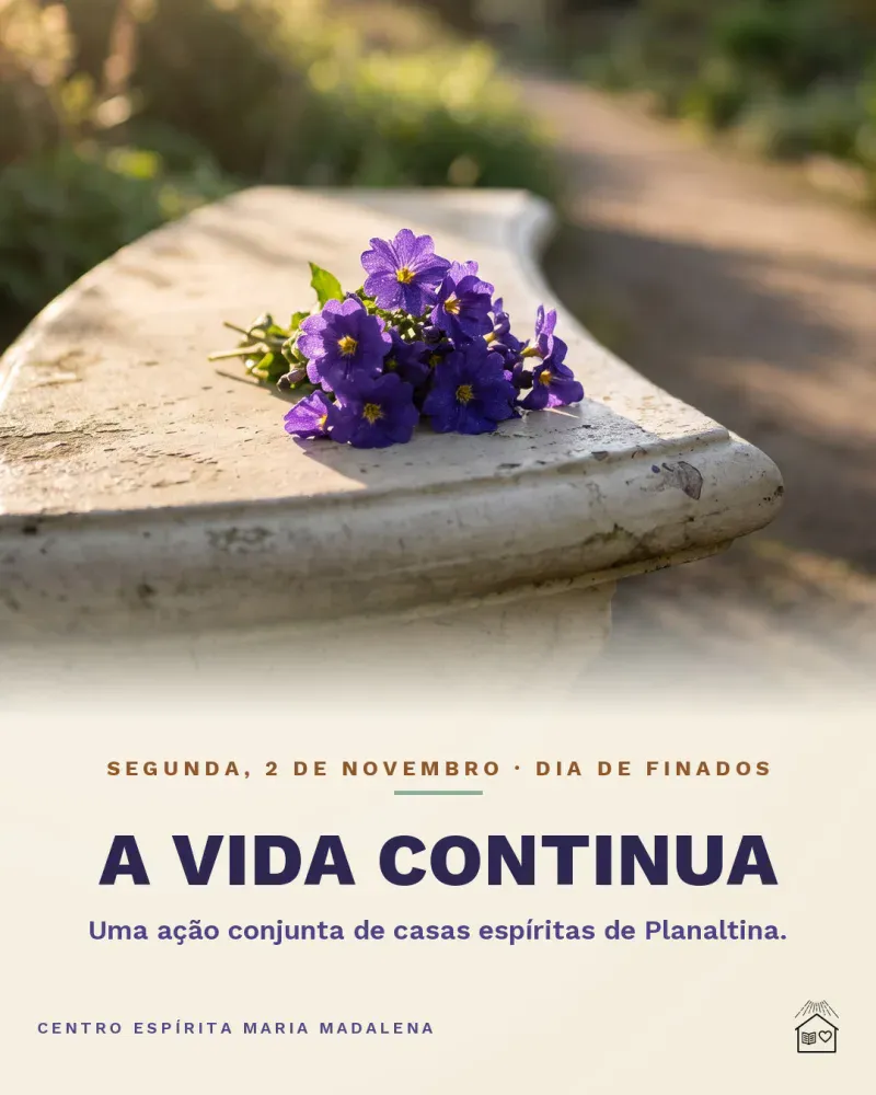 A Vida Continua: Dia de Finados no Campo da Esperança